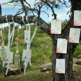 Propuestas, detalles y colores